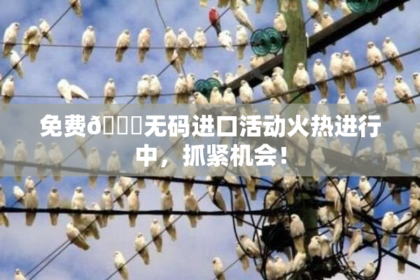 免费🔞无码进口活动火热进行中，抓紧机会！