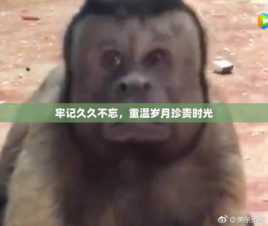 牢记久久不忘，重温岁月珍贵时光