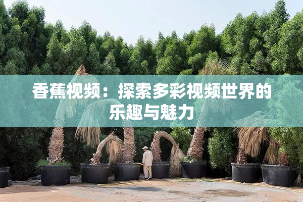 香蕉视频：探索多彩视频世界的乐趣与魅力