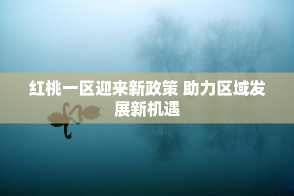 红桃一区迎来新政策 助力区域发展新机遇