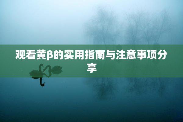 观看黄β的实用指南与注意事项分享