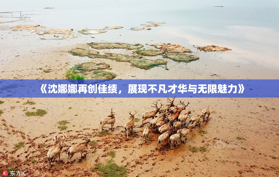 《沈娜娜再创佳绩，展现不凡才华与无限魅力》