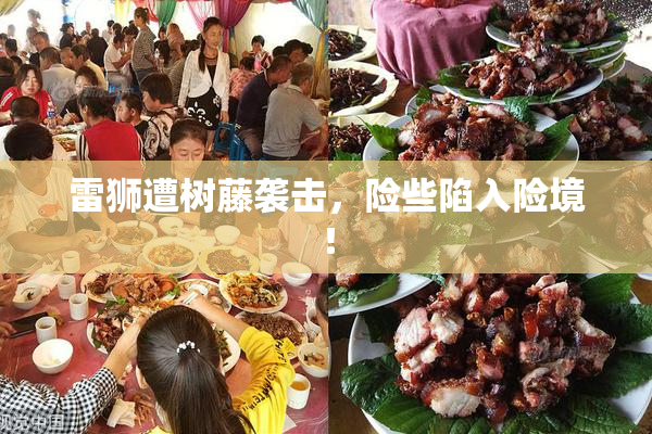 雷狮遭树藤袭击，险些陷入险境！