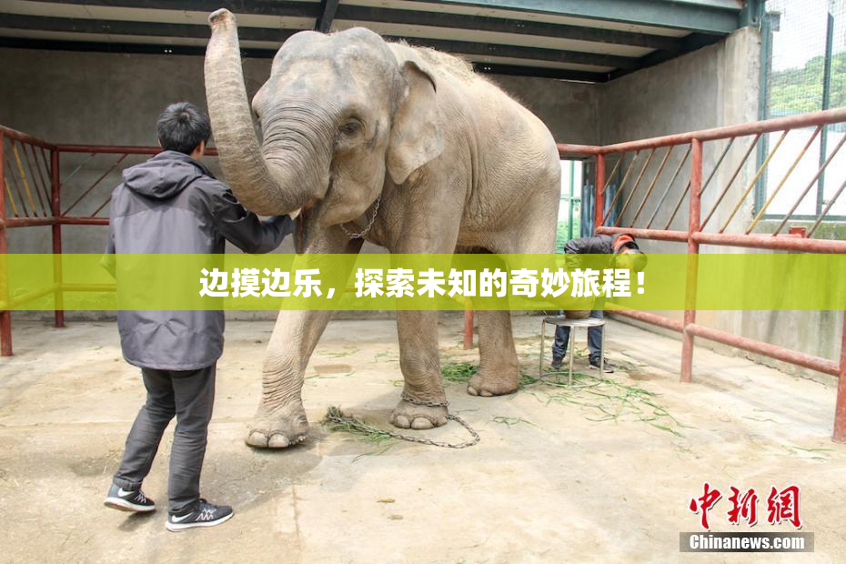 边摸边乐，探索未知的奇妙旅程！