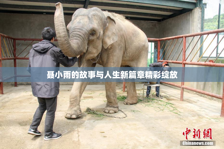 聂小雨的故事与人生新篇章精彩绽放