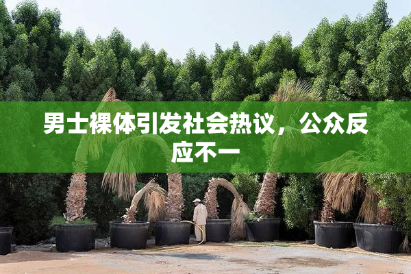 男士裸体引发社会热议，公众反应不一