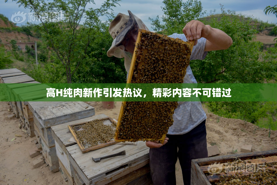 高H纯肉新作引发热议，精彩内容不可错过