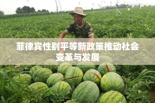 菲律宾性别平等新政策推动社会变革与发展