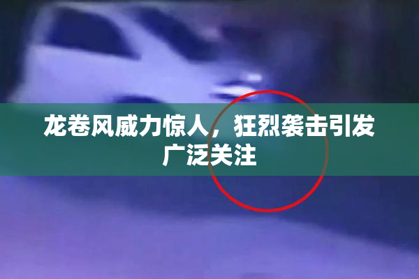 龙卷风威力惊人，狂烈袭击引发广泛关注