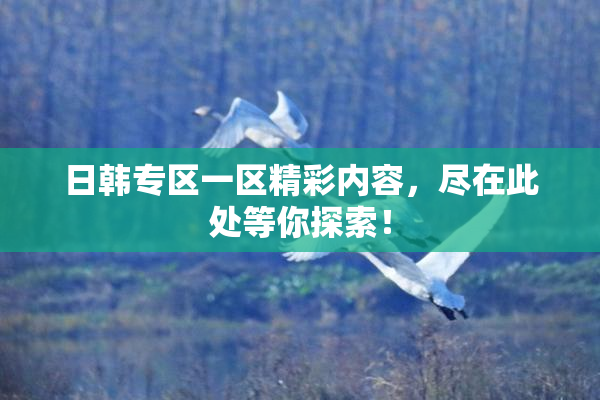 日韩专区一区精彩内容，尽在此处等你探索！