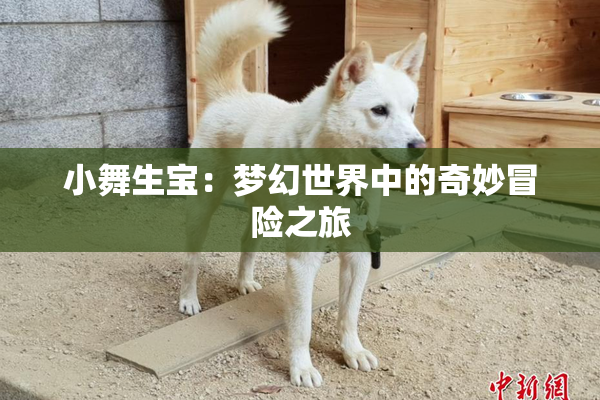 小舞生宝：梦幻世界中的奇妙冒险之旅