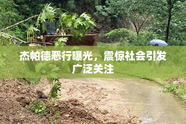 杰帕德恶行曝光，震惊社会引发广泛关注