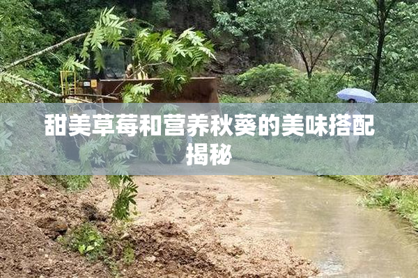 甜美草莓和营养秋葵的美味搭配揭秘