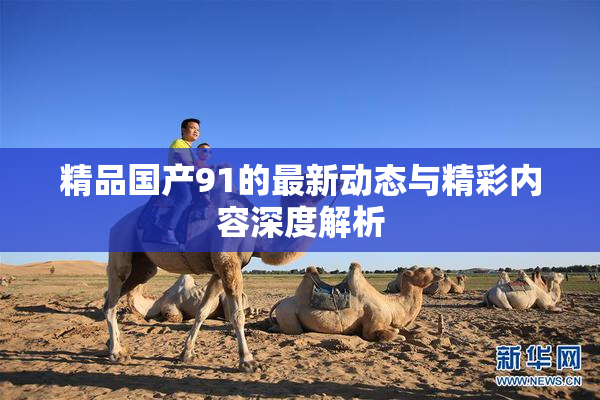 精品国产91的最新动态与精彩内容深度解析