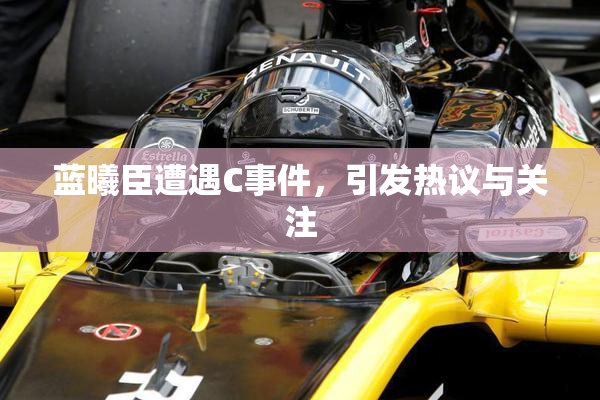蓝曦臣遭遇C事件，引发热议与关注