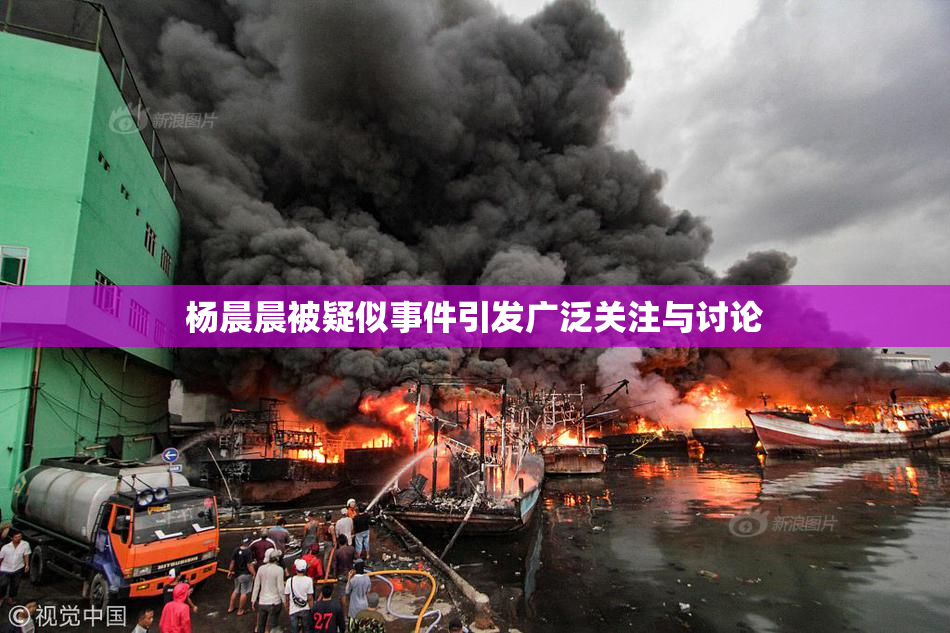 杨晨晨被疑似事件引发广泛关注与讨论