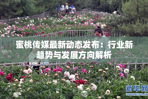 蜜桃传媒最新动态发布：行业新趋势与发展方向解析