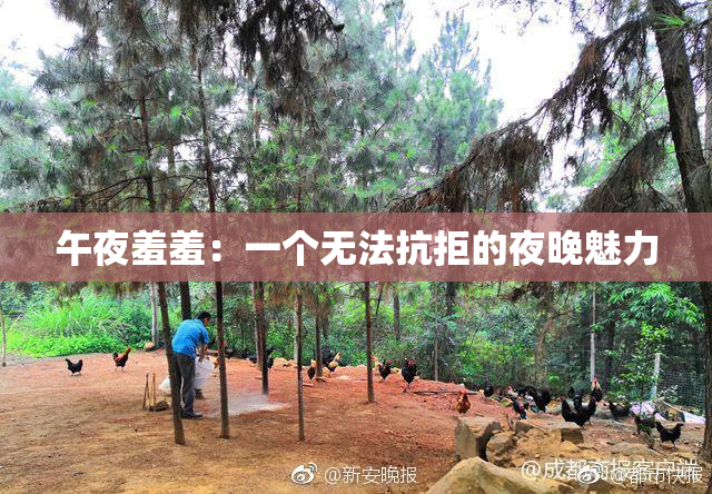 午夜羞羞：一个无法抗拒的夜晚魅力