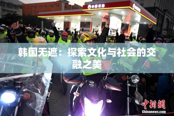 韩国无遮：探索文化与社会的交融之美