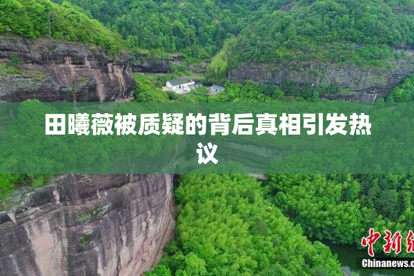 田曦薇被质疑的背后真相引发热议