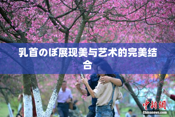 乳首のぼ展现美与艺术的完美结合