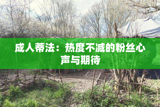成人蒂法：热度不减的粉丝心声与期待