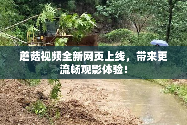 蘑菇视频全新网页上线，带来更流畅观影体验！