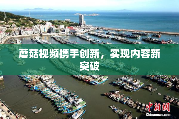 蘑菇视频携手创新，实现内容新突破