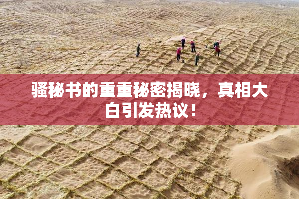 骚秘书的重重秘密揭晓，真相大白引发热议！