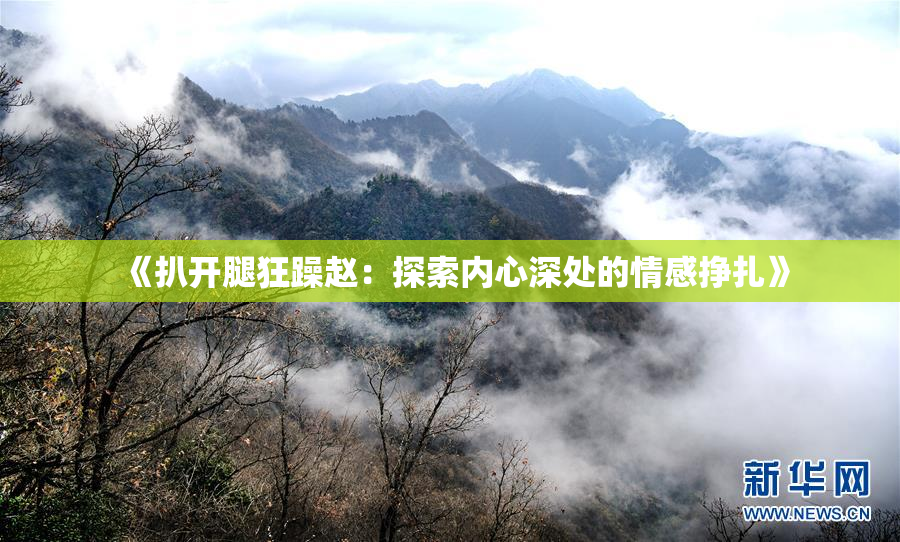《扒开腿狂躁赵：探索内心深处的情感挣扎》