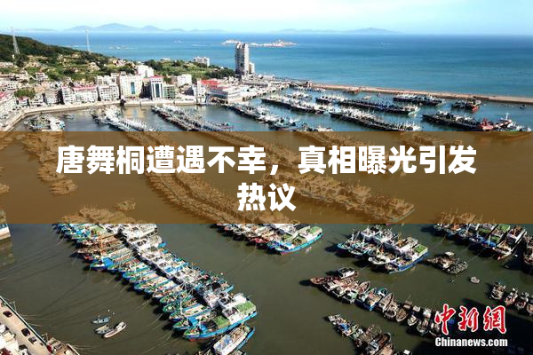 唐舞桐遭遇不幸，真相曝光引发热议