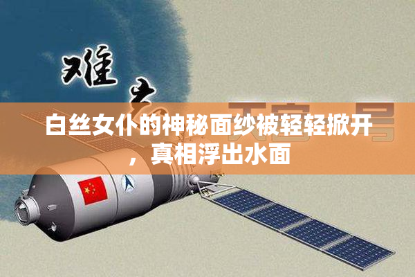 白丝女仆的神秘面纱被轻轻掀开，真相浮出水面