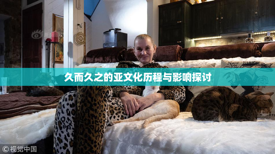 久而久之的亚文化历程与影响探讨