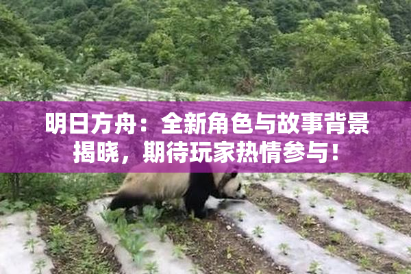 明日方舟：全新角色与故事背景揭晓，期待玩家热情参与！