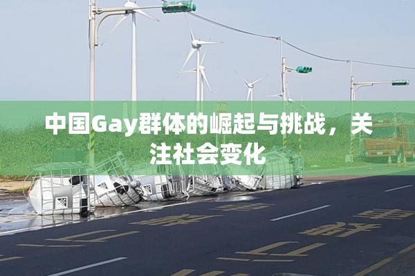 中国Gay群体的崛起与挑战，关注社会变化