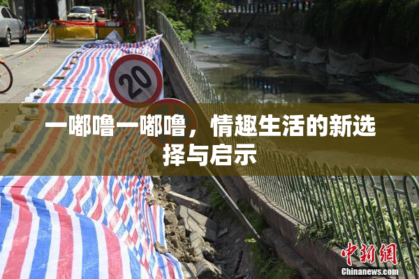一嘟噜一嘟噜，情趣生活的新选择与启示