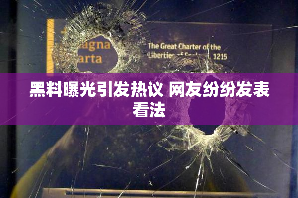 黑料曝光引发热议 网友纷纷发表看法
