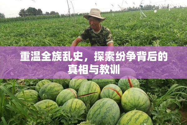 重温全族乱史，探索纷争背后的真相与教训