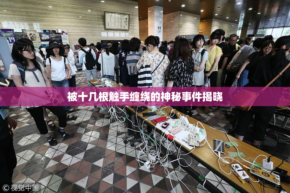 被十几根触手缠绕的神秘事件揭晓