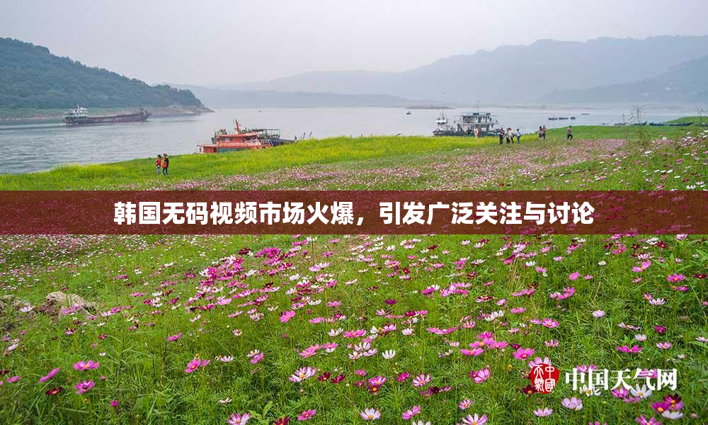 韩国无码视频市场火爆，引发广泛关注与讨论