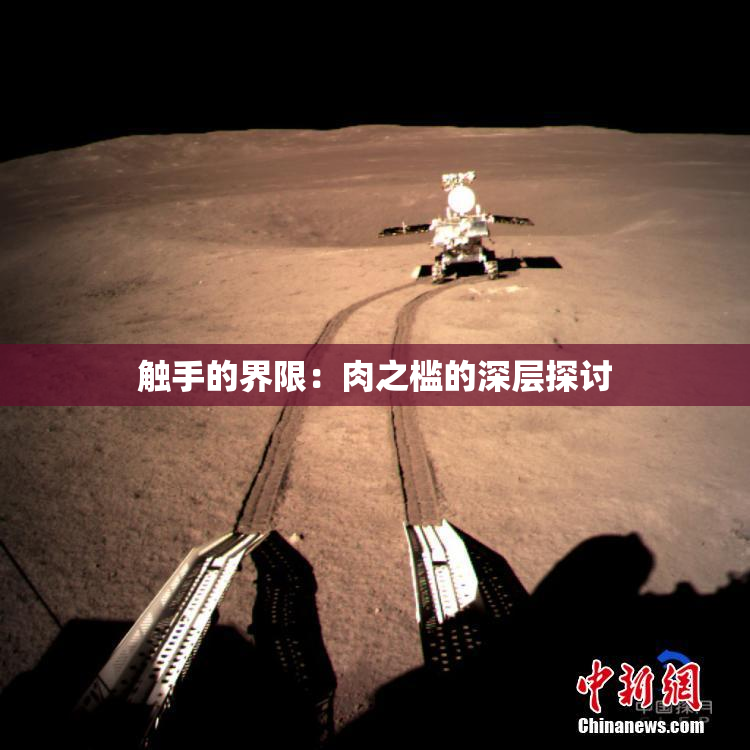 触手的界限：肉之槛的深层探讨