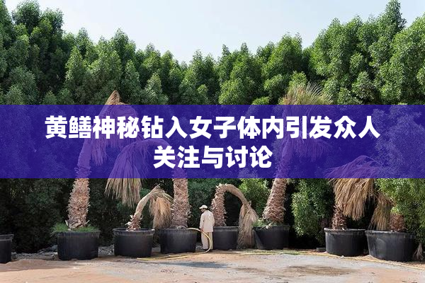 黄鳝神秘钻入女子体内引发众人关注与讨论