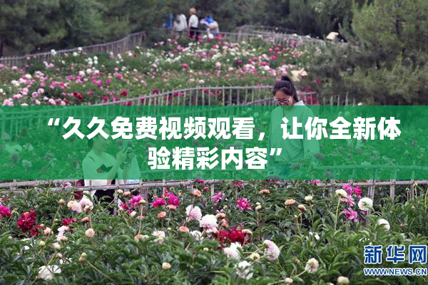 “久久免费视频观看，让你全新体验精彩内容”