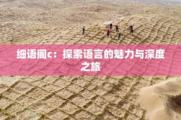 细语阁c：探索语言的魅力与深度之旅