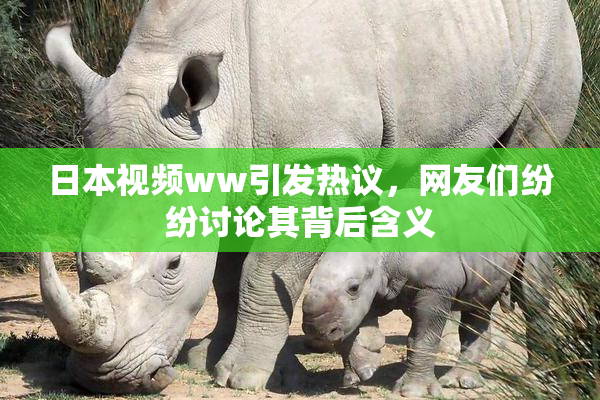 日本视频ww引发热议，网友们纷纷讨论其背后含义
