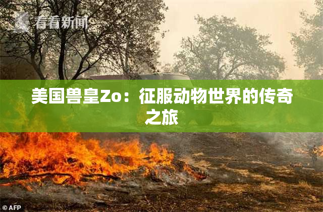 美国兽皇Zo：征服动物世界的传奇之旅