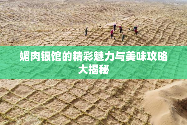 媚肉银馆的精彩魅力与美味攻略大揭秘