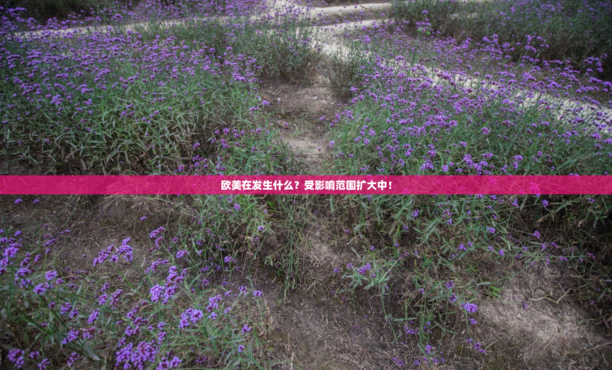 欧美在发生什么？受影响范围扩大中！