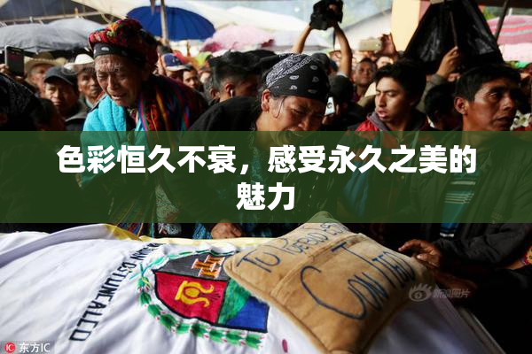 色彩恒久不衰，感受永久之美的魅力