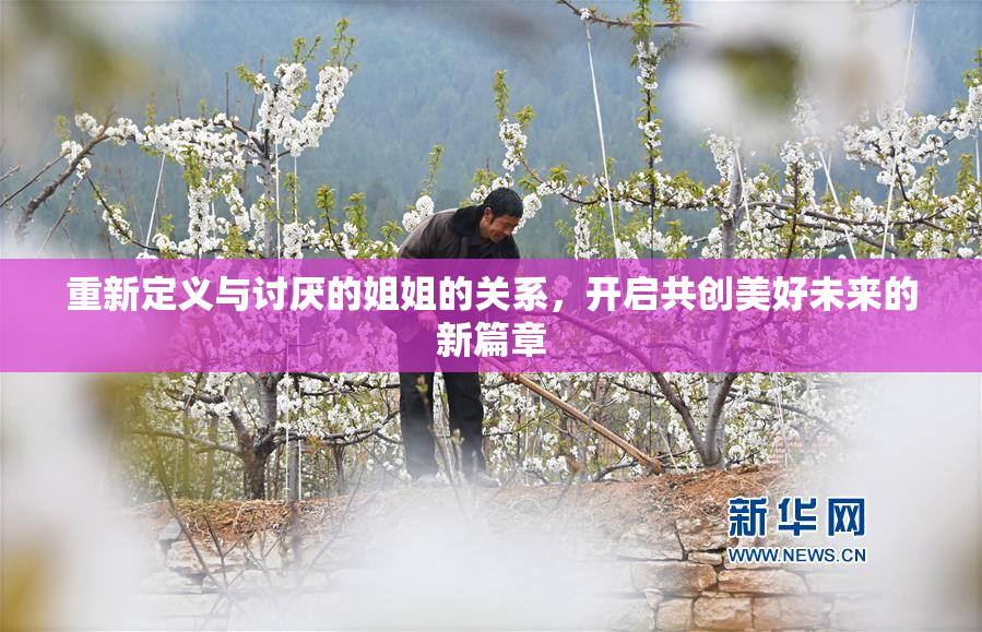 重新定义与讨厌的姐姐的关系，开启共创美好未来的新篇章